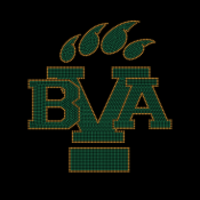 BVA BLING Thumbnail