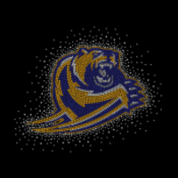 GRIZZLIES BLING Thumbnail